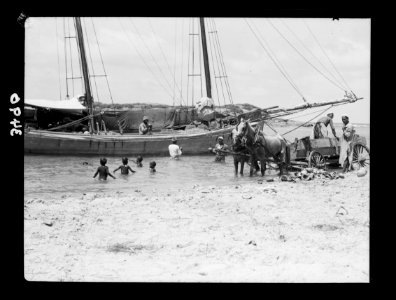 Northern views. Tantoura shipping. Loading sailing vessel with melons LOC matpc.15366