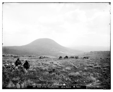 Northern views. Mount Tabor LOC matpc.06994