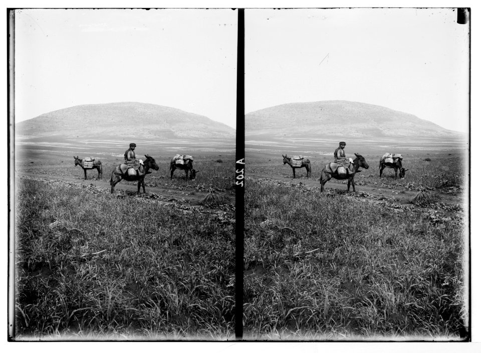 Northern views. Mt. Tabor from Esdraelon LOC matpc.05151