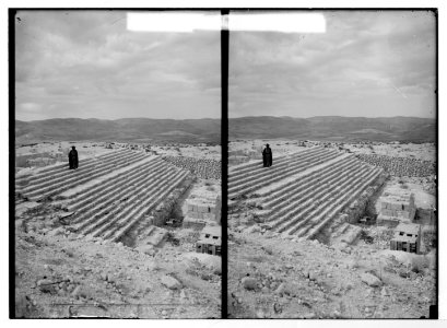 Northern views. The excavations at Samaria. Stairway ascending to the Roman temple LOC matpc.05143
