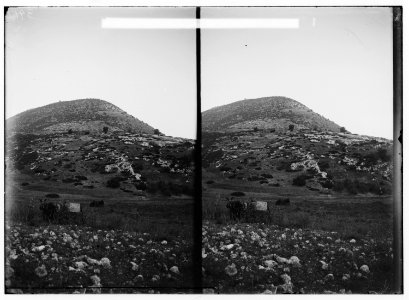 Northern views. Mt. Tabor from the west LOC matpc.01084