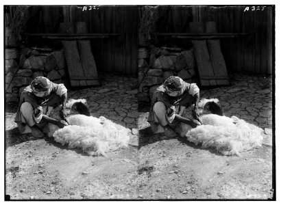 Northern views. Threshing floor at Samaria LOC matpc.01071