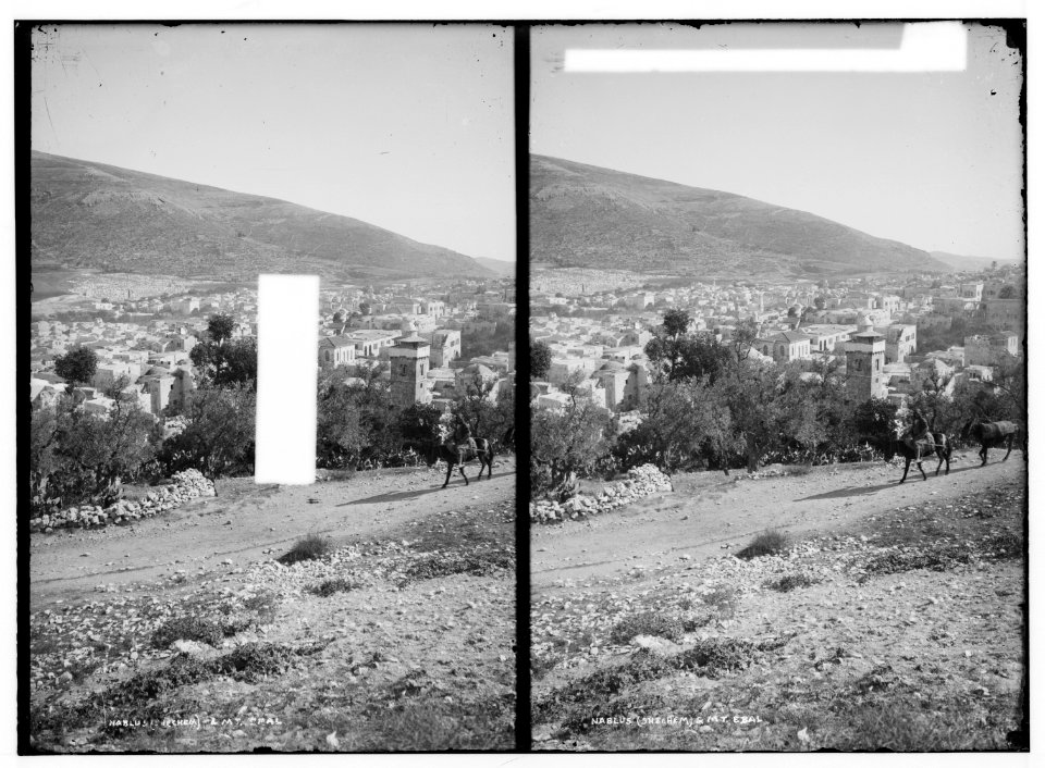 Northern views. Nablus (Shechem) and Mt. Gerizim LOC matpc.01059