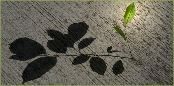 Shadow art graphic