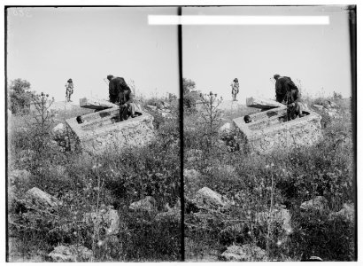 Northern views. Old sarcophagus at Kadesh LOC matpc.01116