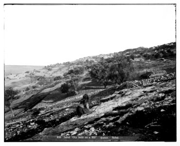 Northern views. Safed 'A city built on a hill' LOC matpc.07029