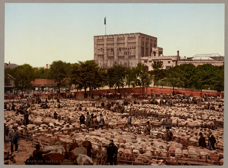 Norwich. Castle & Cattle Market LCCN2017659730