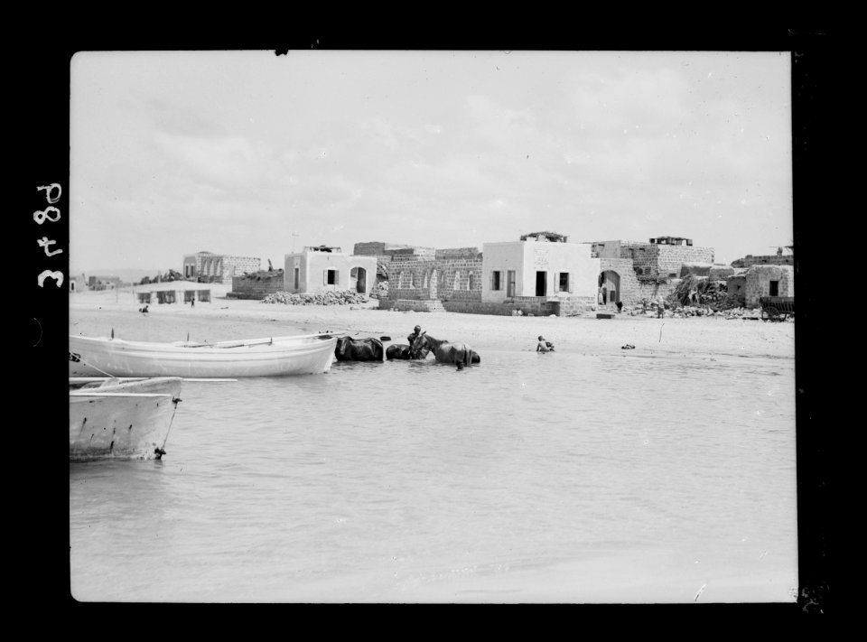 Northern views. Tantoura. Ancient Dor. The village from the sea LOC matpc.15365