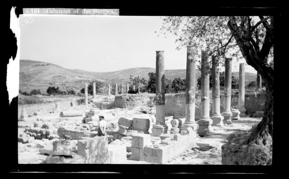 Northern views. The excavations at Samaria. Columns of the basilica LOC matpc.22578