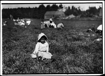 Not a very happy job. May Gilbert, 10 years old. Am picking now, couldn't get no place this mornin. Rochester, Mass. - NARA - 523469