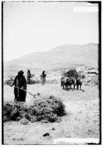 Northern views. Threshing floor at Sychar LOC matpc.00041