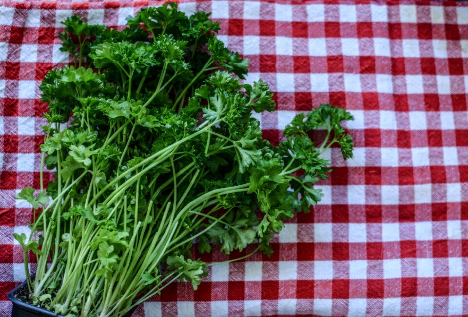 Ingredient food healthy