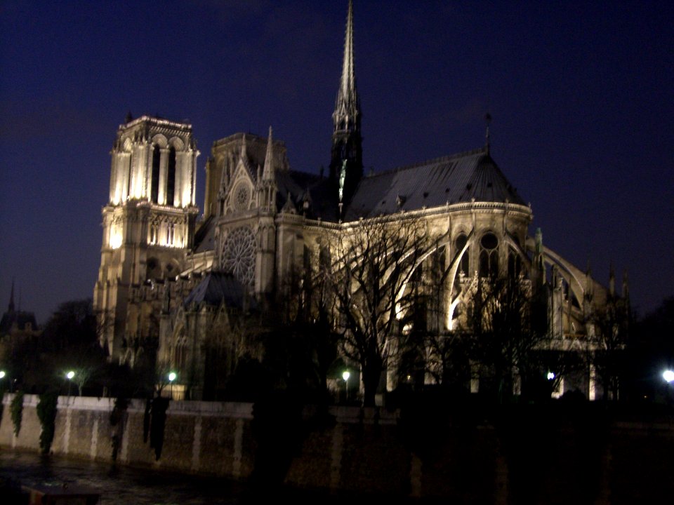 Notre Dame de Paris at night
