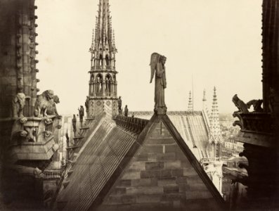 Notre Dame, Paris, France. View from spire of roofs, statuary, and gable