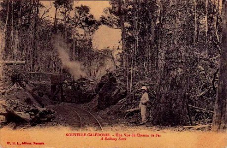 Nouvelle Calédonie - Un Vue du Chemin de Fer - A Railway Scene 02 photo