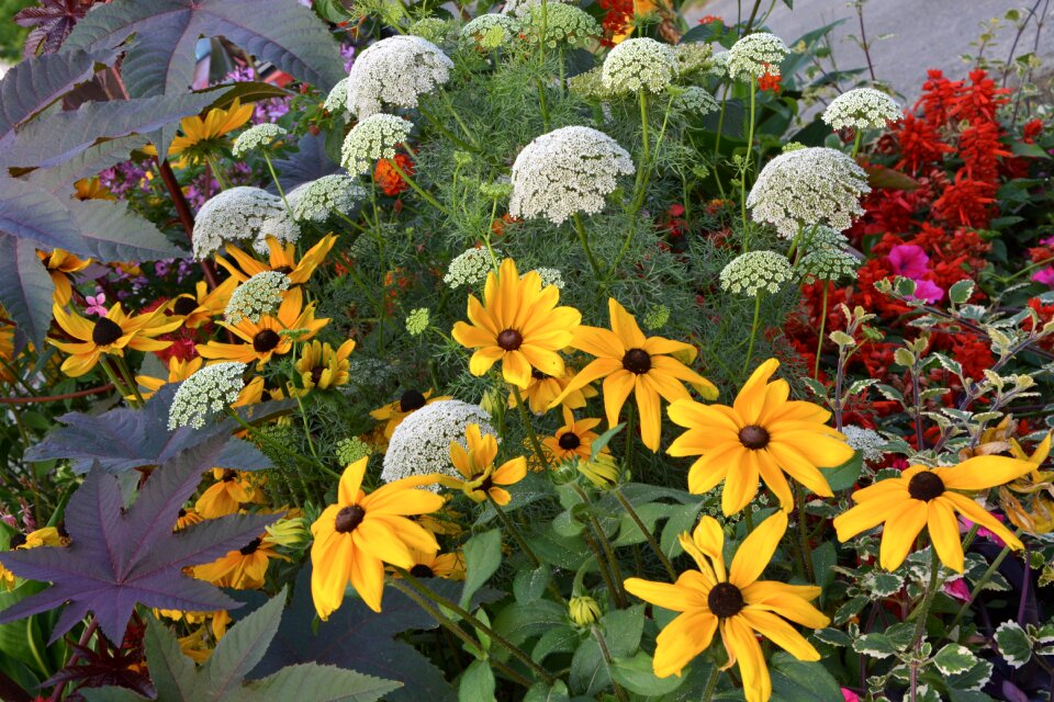 Summer flowers bouquet nature