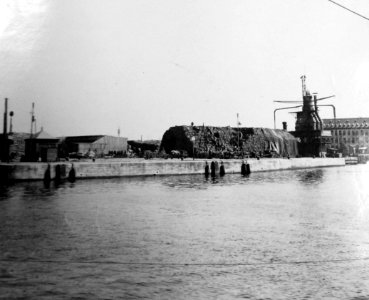 Oats, bran, and hay on American docks and American barracks at Antwerp, Belgium, 1919 (31981830474)