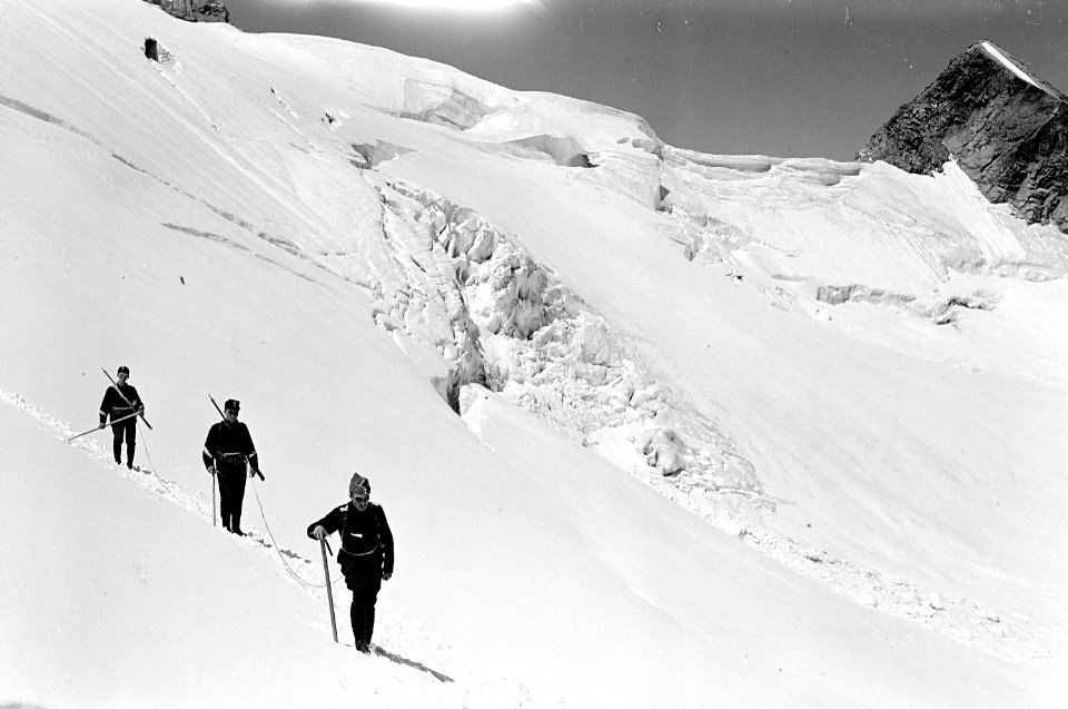 Offizierspatrouille auf dem Surettagletscher - CH-BAR - 3236906
