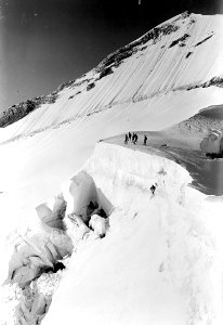 Offizierspatrouille auf das Surettahorn - CH-BAR - 3236902