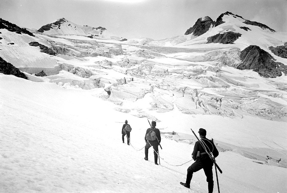 Offizierspatrouille auf dem Surettagletscher - CH-BAR - 3236911