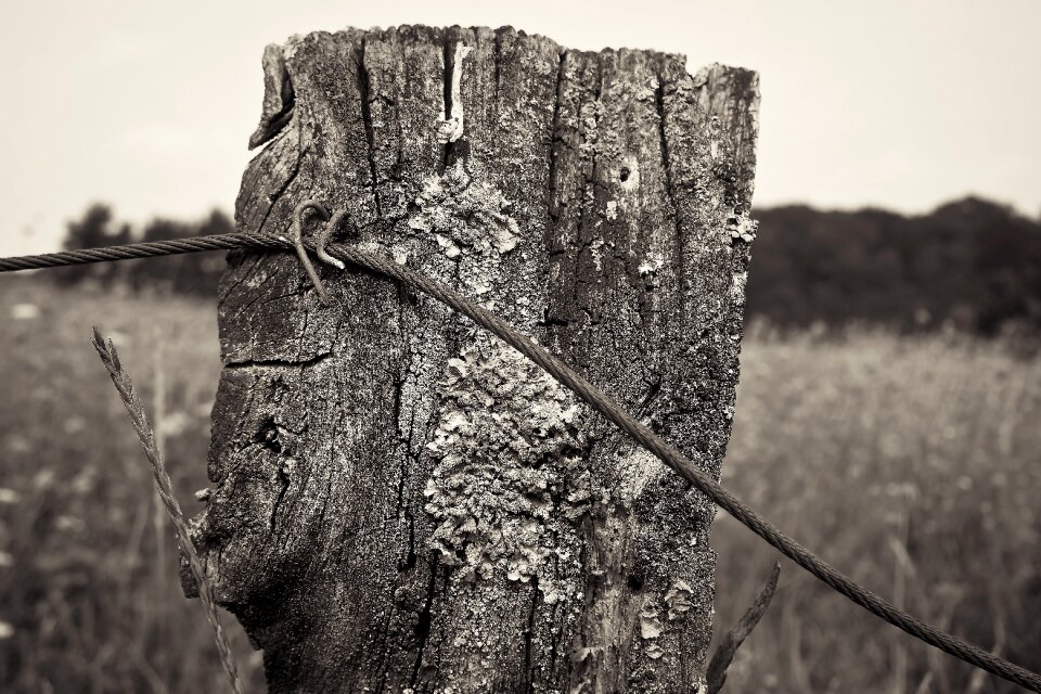 Post fence post wood fence