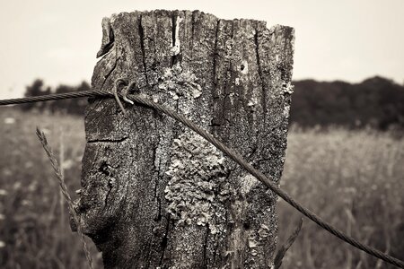 Post fence post wood fence photo