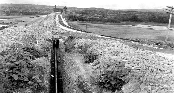 Oil pipeline and railroad tracks at U.S. Naval Station Pearl Harbor, 31 January 1919 (NH 118077)
