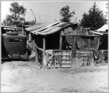 Oildale, Kern County, California. Shacktown in Kern County industrial district on Kern County Water . . . - NARA - 521741