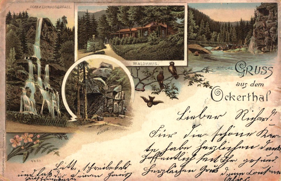 Okertal, Niedersachsen - Romker Wasserfall; Waldhaus; Brücke (Zeno Ansichtskarten)