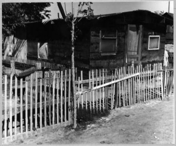 Oildale, Kern County, California. Shacktown in Kern county industrial district on Kern County Water . . . - NARA - 521742