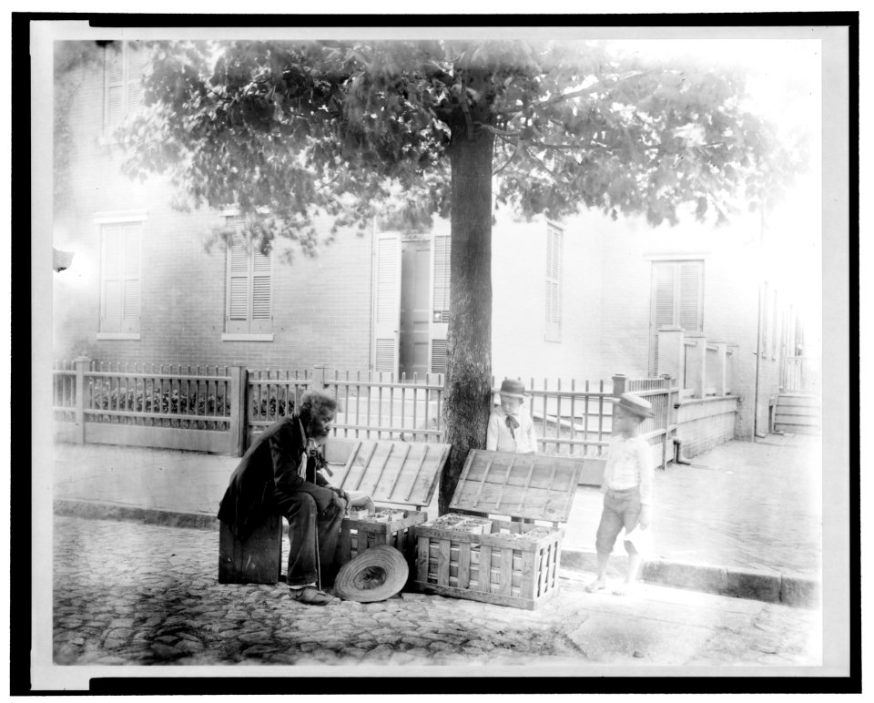 Old African-American man selling strawberries on street, Washington, D.C. - two small boys, one White and one African-American, are looking at the strawberries LCCN2001698385