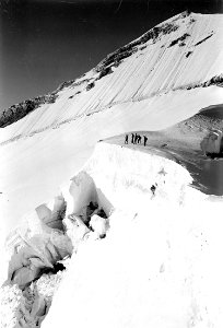 Offizierspatrouille auf das Surettahorn - CH-BAR - 3236903