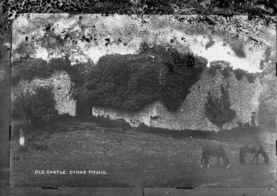 Old Castle Dynas Powis (4641427)