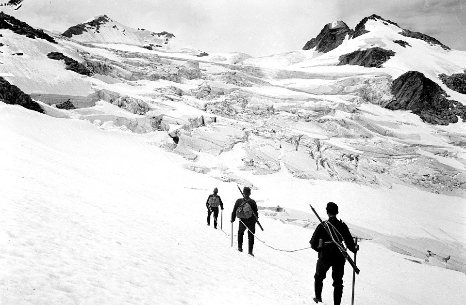 Offizierspatrouille auf dem Surettagletscher - CH-BAR - 3236914