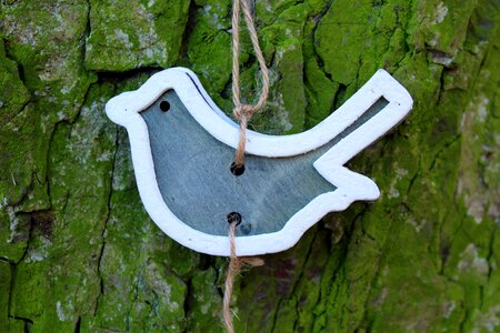 Decoration tree nature