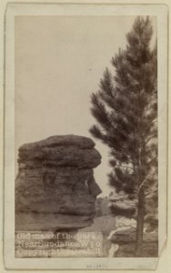 Old Man of the park. Near Sundance, Wyo. LCCN99613944