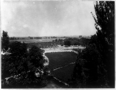 Old orchard and vineyard from the superintendent's house, Kern County, Calif. LCCN2003671026
