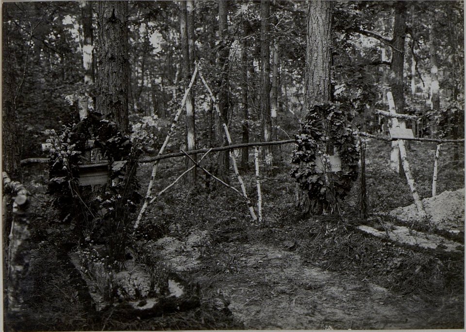 Offiziersgräber der im Wald westlich von Bezedonia gefallenen Deutschmeister (BildID 15443540)