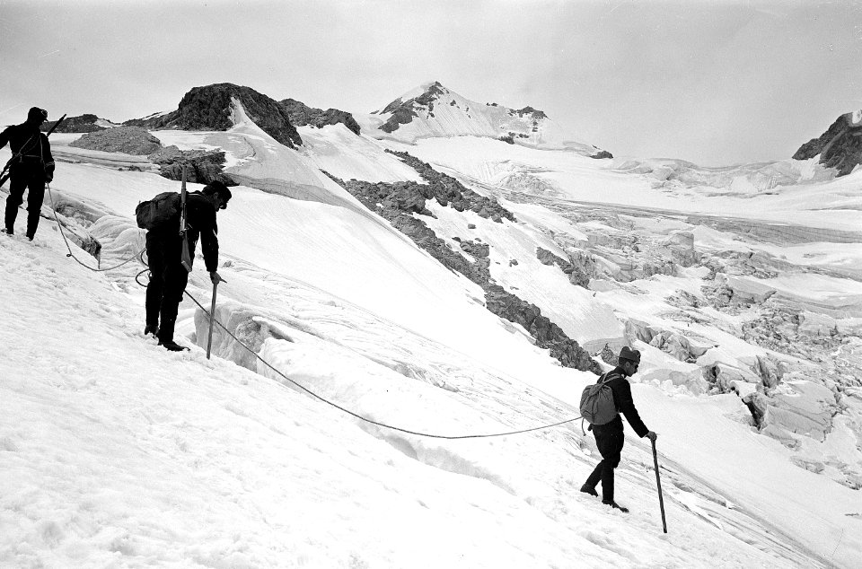 Offizierspatrouille auf dem Surettagletscher - CH-BAR - 3236910