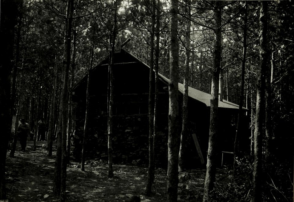 Offizierswohnung im Vojcicer Wald. (BildID 15586724)