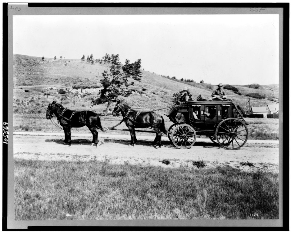 Old stagecoach, Yellowstone National Park, Wyoming LCCN92515074