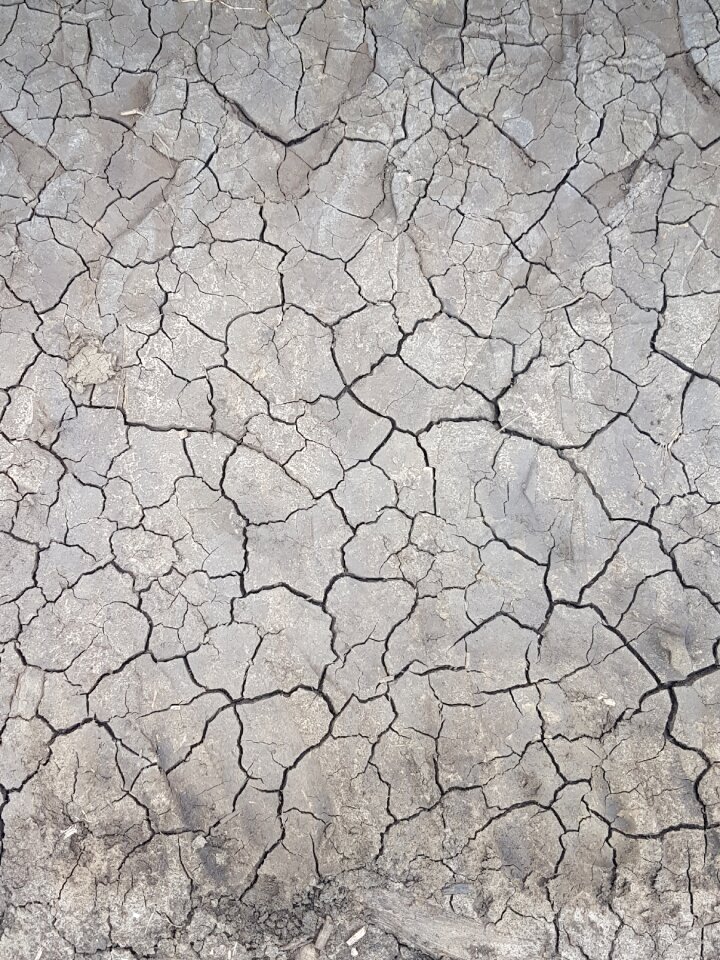 Soil quartered floor