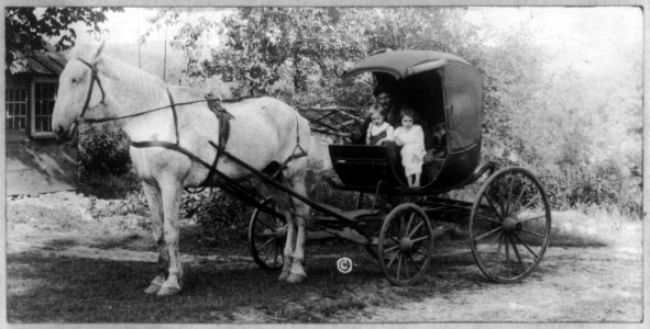 Oldest one horse carriage in America over 200 years old owned by J. W. Baldwin, Petersham, Mass. LCCN2012645281