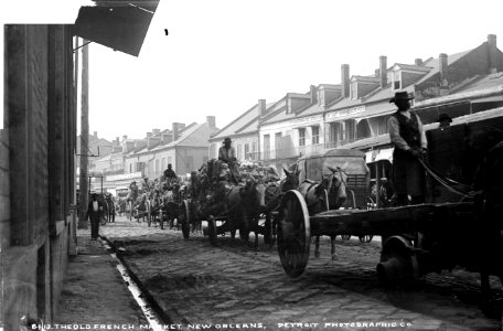 Old French Market New Orleans Wagons W H Jackson photo