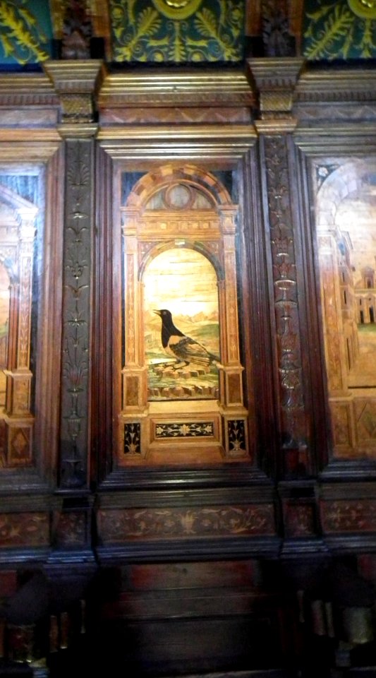 Oiseau 349