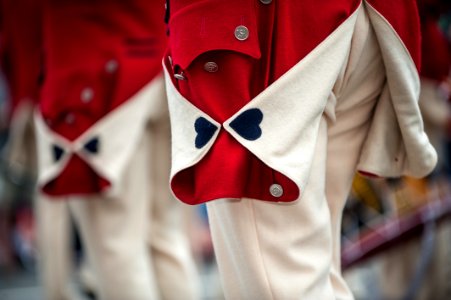 Old Guard (9216772106)