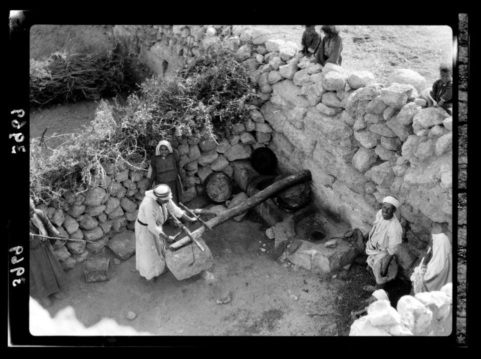 Olive crushing and pressing. Method of weighting the press. Great pressure realised by means of leverage LOC matpc.15645