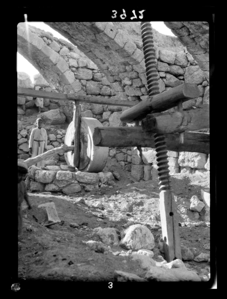 Olive crushing and pressing. Stone crusher and screw-press at Beit Jibrin. Method less primitive and more in use in the Shafelah country LOC matpc.15648