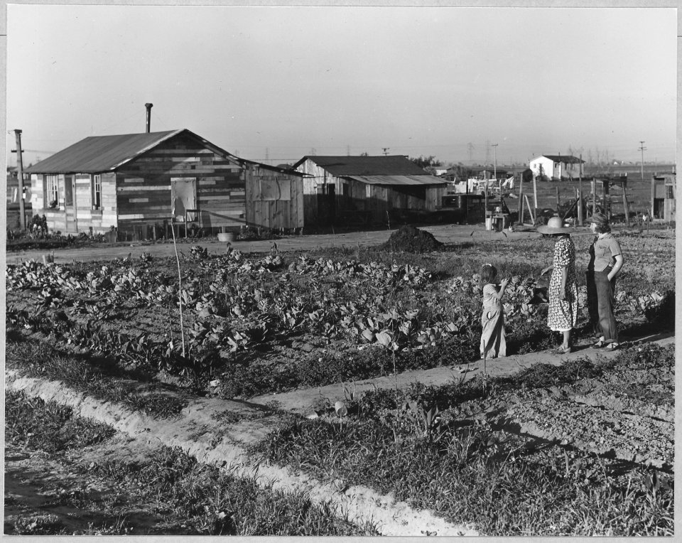 Olivehurst, Yuba County, California. An unpainted house of second-hand lumber, and truck garden. - NARA - 521608