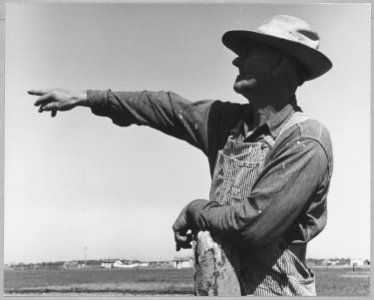 Olivehurst, Yuba County, California. Resident of Olivehurst tract. - NARA - 521614 photo